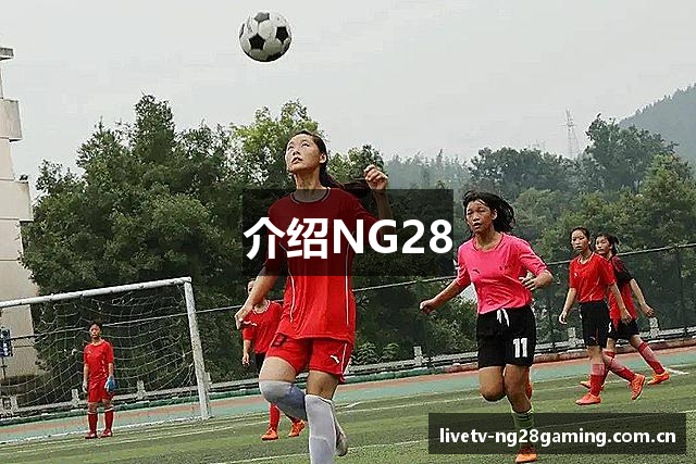 介绍NG28